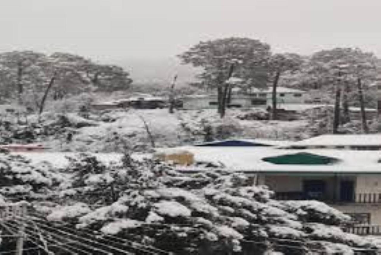 Oak Wood Homestay Banikhet Dalhousie Luaran gambar