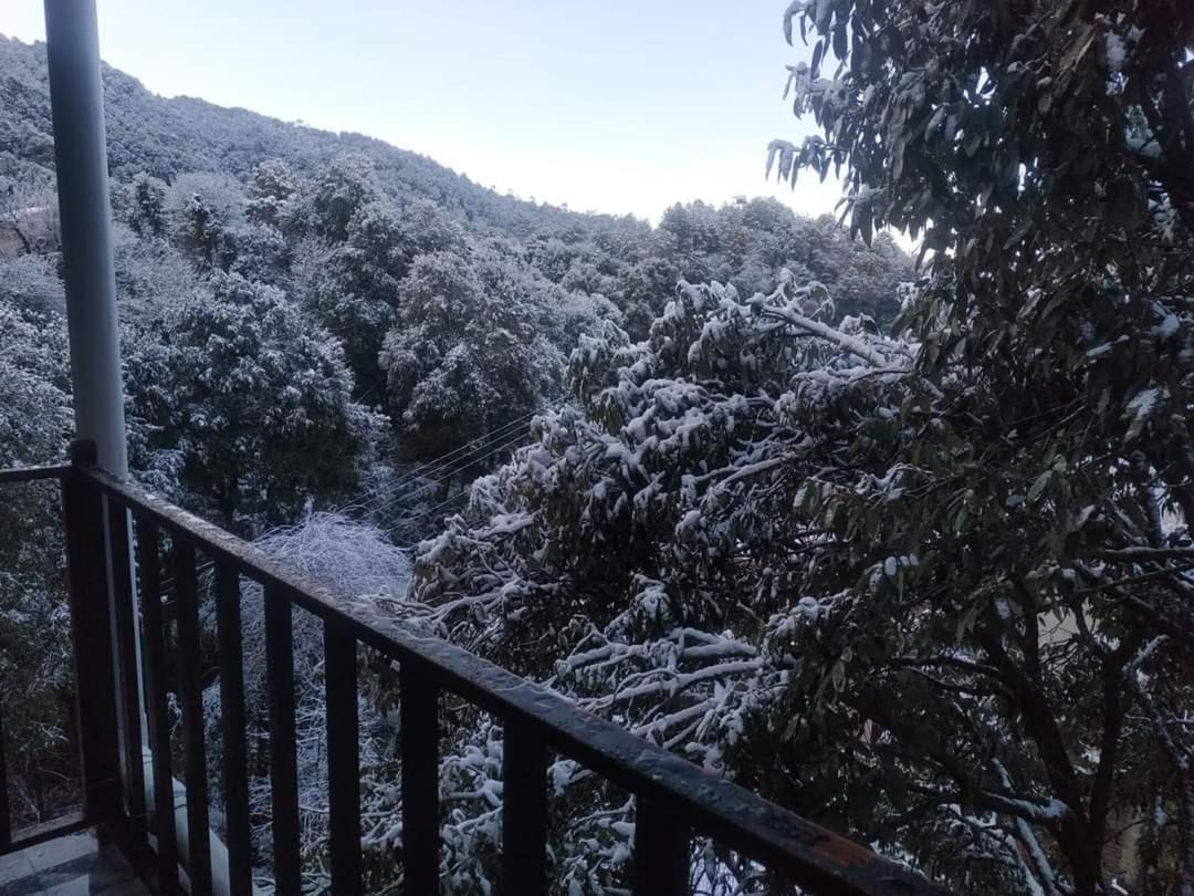 Oak Wood Homestay Banikhet Dalhousie Luaran gambar
